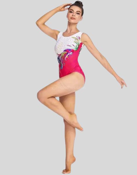 Bulk Stretchable Gymnastics Clothes